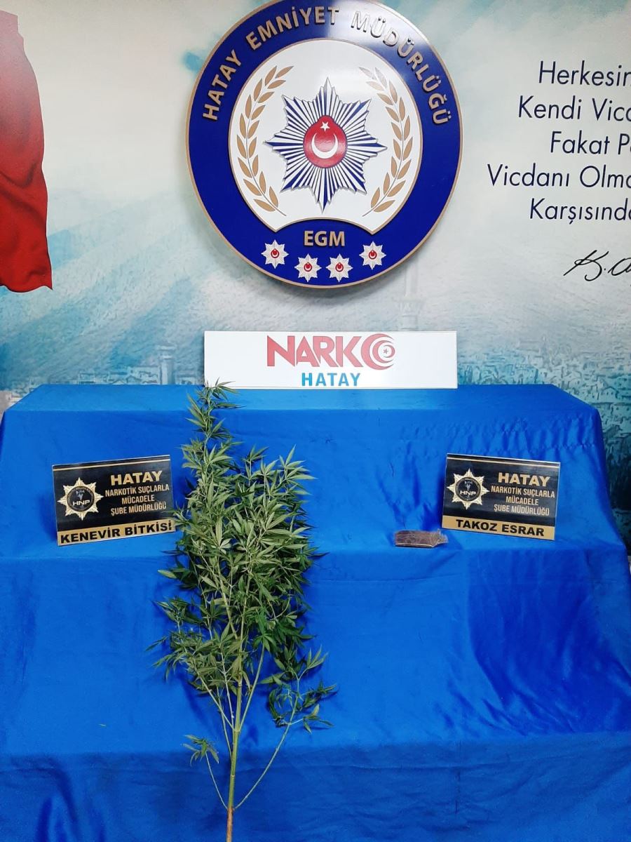 Hatay
