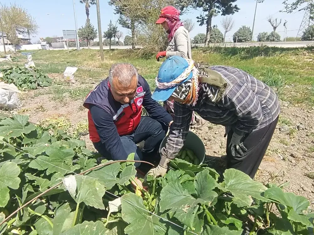 Tarım ve Orman Müdürü Tarlada Çiftçilerle Buluştu