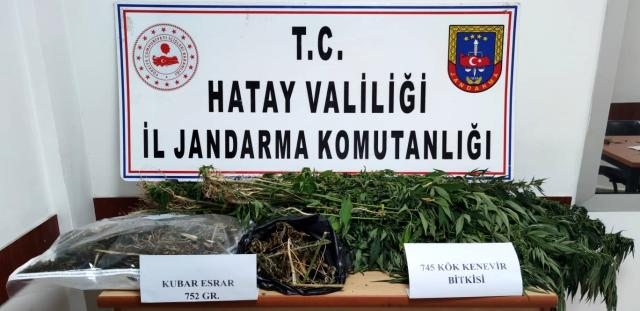 Hatay`da kenevir operasyonu