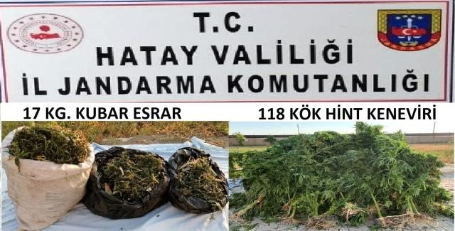 Samandağ`da jandarmadan uyuşturucu operasyonu